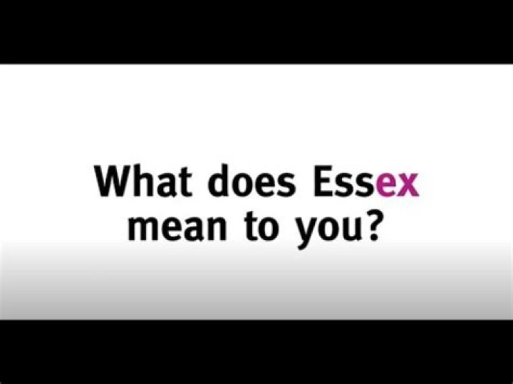 What does Essex mean slang?