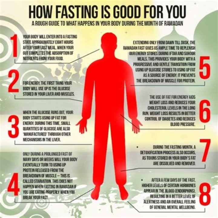 What does fasting do for your body?