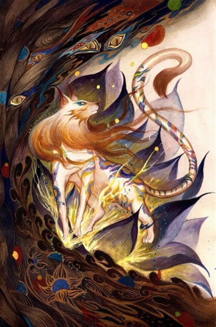 What does Fei Fei mean?
