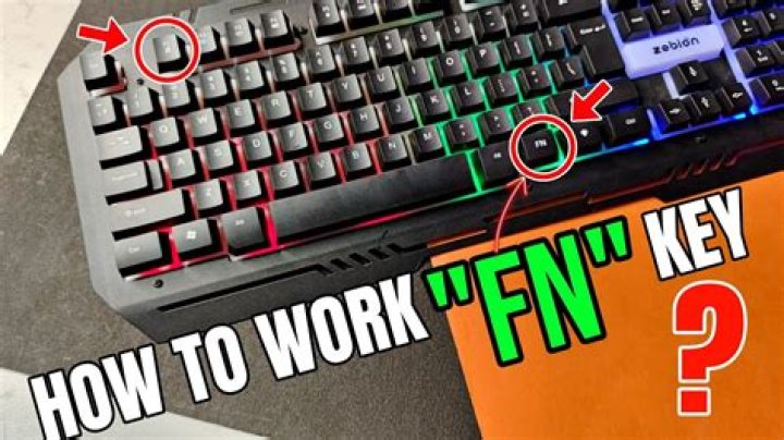 What does Fn key do on Mac?