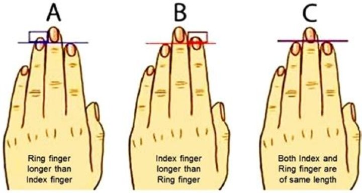 What does it mean if my index finger and ring finger are the same length?