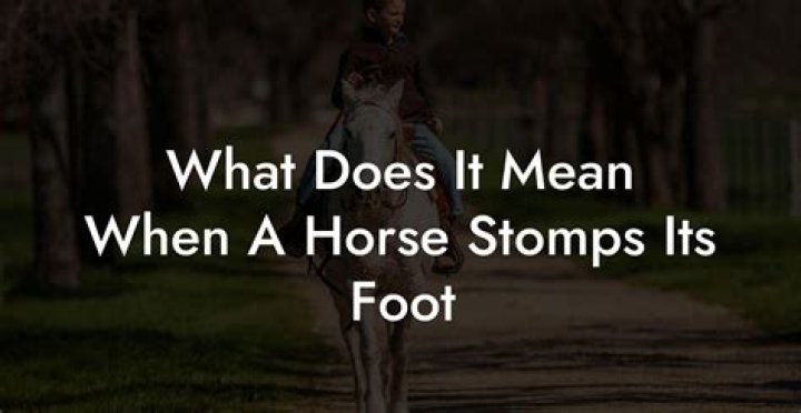 What does it mean when a horse stomps his front foot?