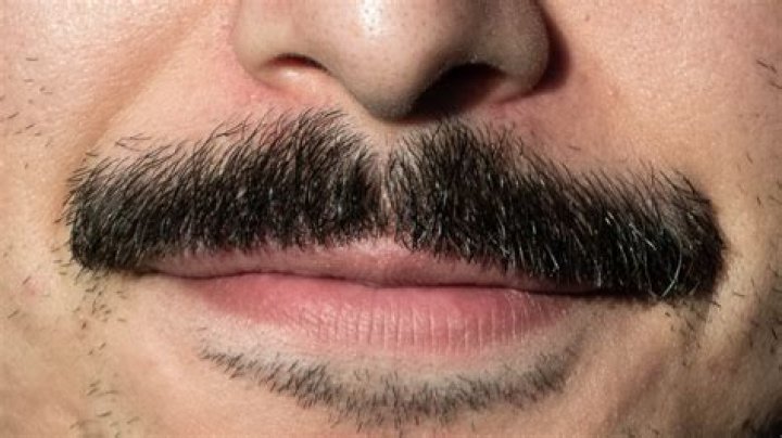 What does Mario's Moustache look like?