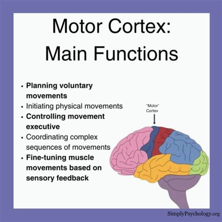 What does motor oil do to concrete?
