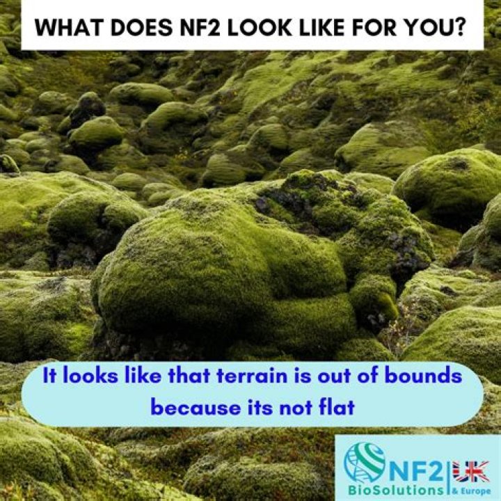 What does NF2 look like?
