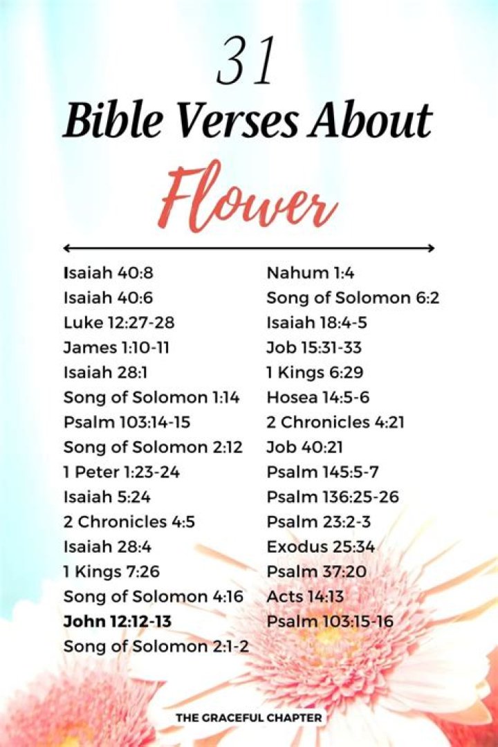 What does the Bible say about hummingbirds?