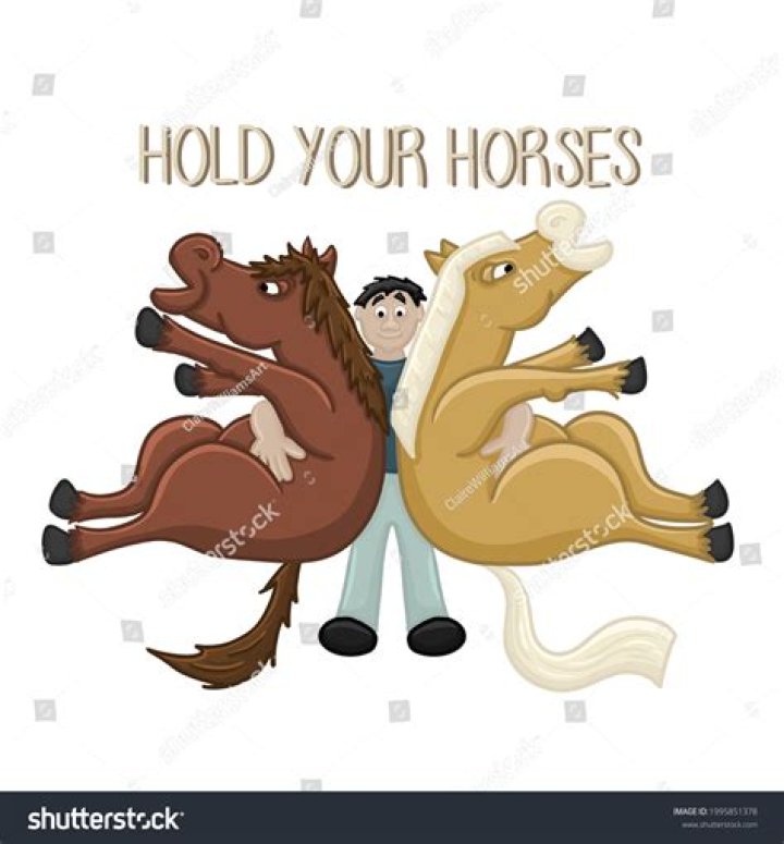 What does the saying hold your horses mean?