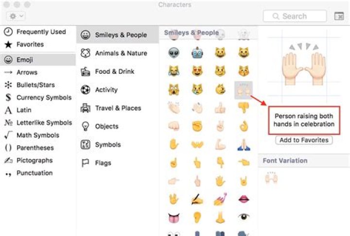What does this ✊ emoji mean?