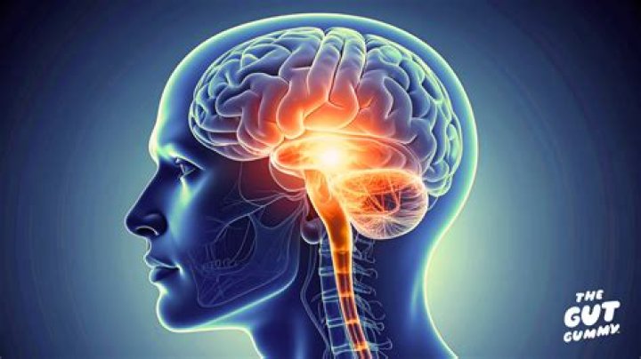 What does wine do to your brain?