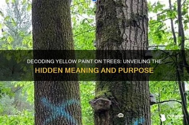 What does yellow paint on a tree mean?