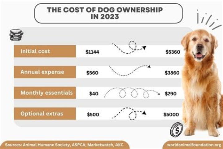 What dog cost $20000?