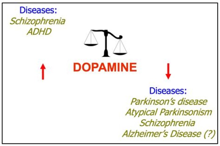 What drug increases dopamine?
