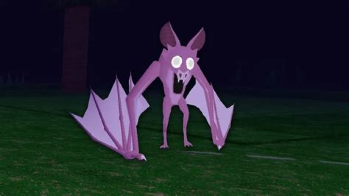 What family is the bat in?