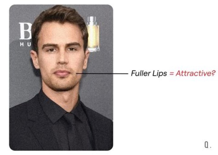 What features make someone attractive?
