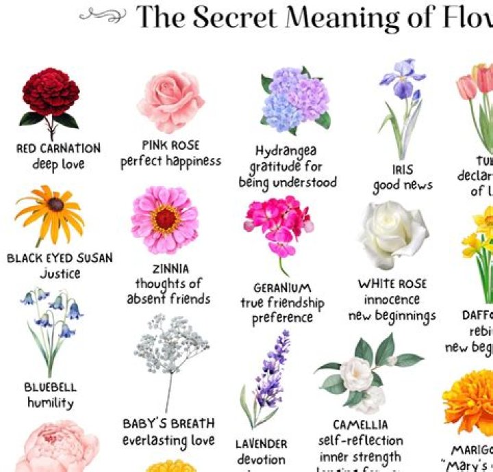 What flower symbolizes eternal life?