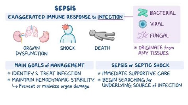 What foods help with sepsis?