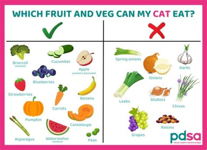 What fruits and vegetables does Tom Brady avoid?