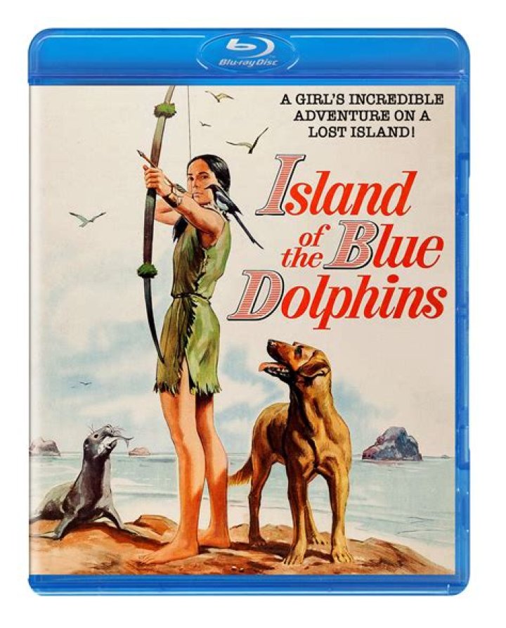 What happened in chapter 22 of Island of the Blue Dolphins?