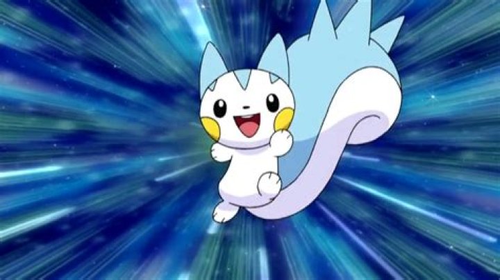 What happened to Dawn's Pachirisu?