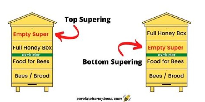 What happens if I add a honey super too soon?
