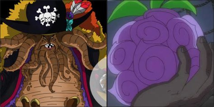 What happens if two people share Devil Fruit?