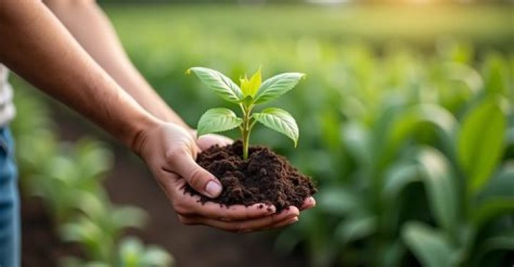 What happens if you add too much fertilizer to the soil?