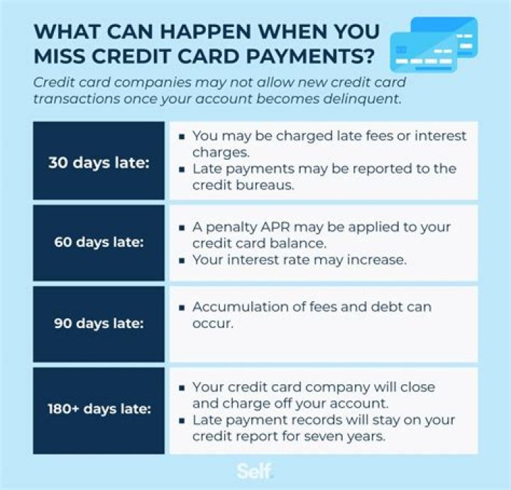 What happens if you don't pay back PPP?