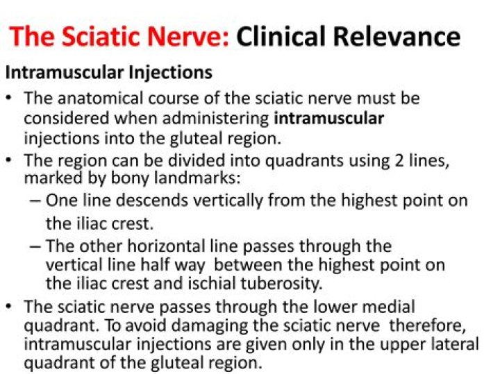 What happens if you hit the sciatic nerve with a needle?