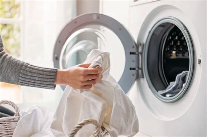 What happens if you put suede in the washing machine?