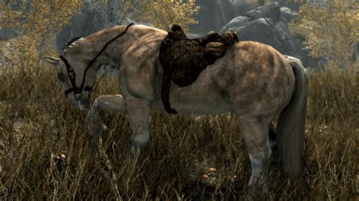 What happens when you have 2 horses in Skyrim?