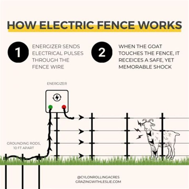 What happens when you touch a electric fence?