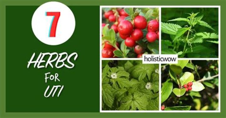 What Herb kills UTI?
