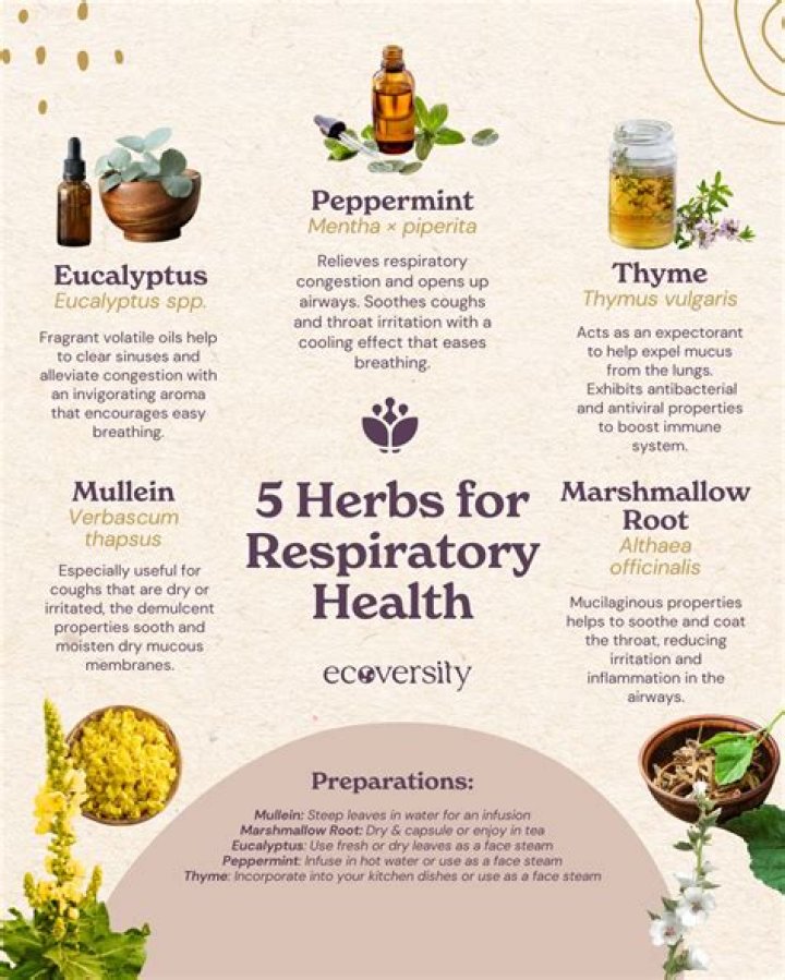 What herbs get rid of syphilis?