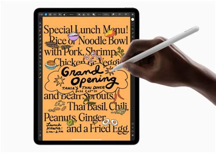 What iPads can Apple Pencil work with?