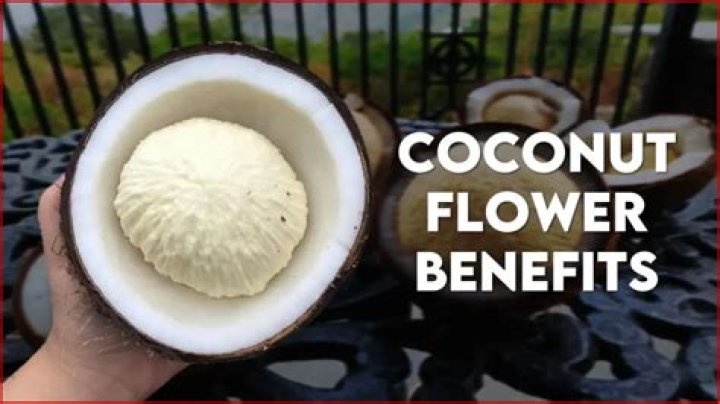 What is a coconut flower?
