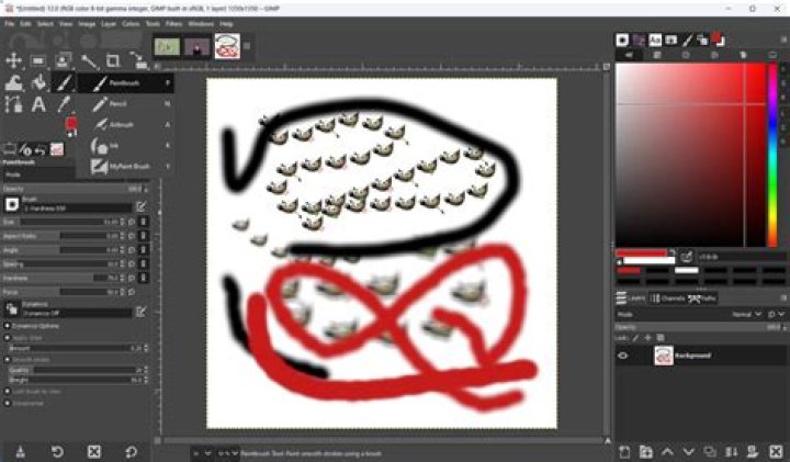 What is a gimp?
