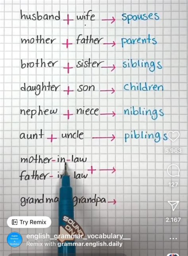 What is a Pibling?