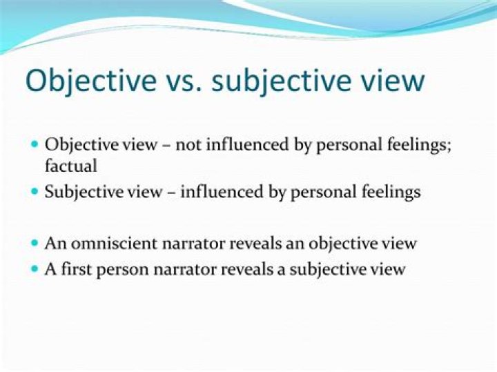 What is a subjective point of view?