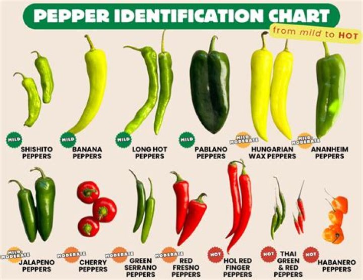What is alligator pepper called in Ghana?