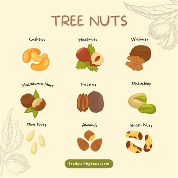 What is argan a tree nut?