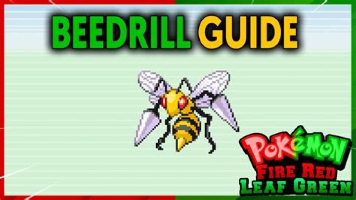 What is beedrill based on?