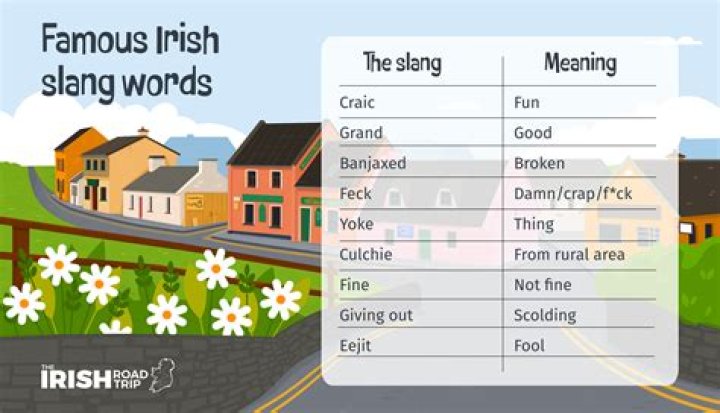 What is Black Irish slang?