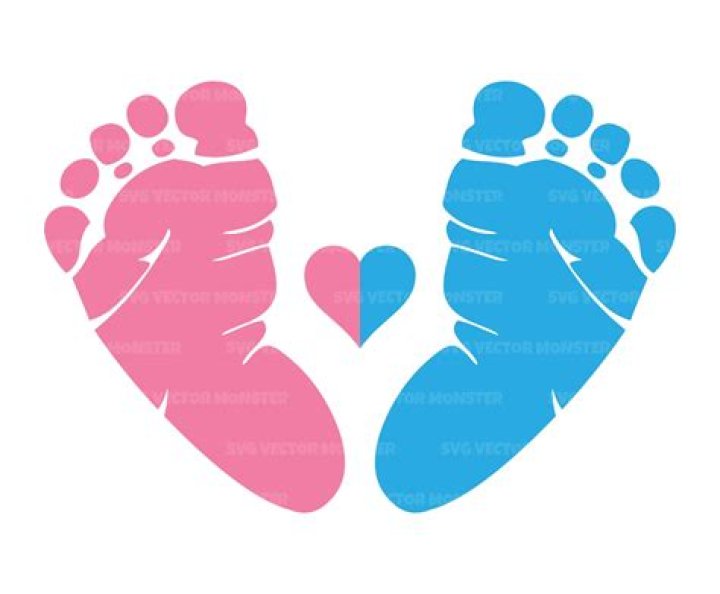 What is blue in gender reveal?