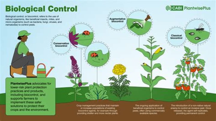 What is Control A to Z?