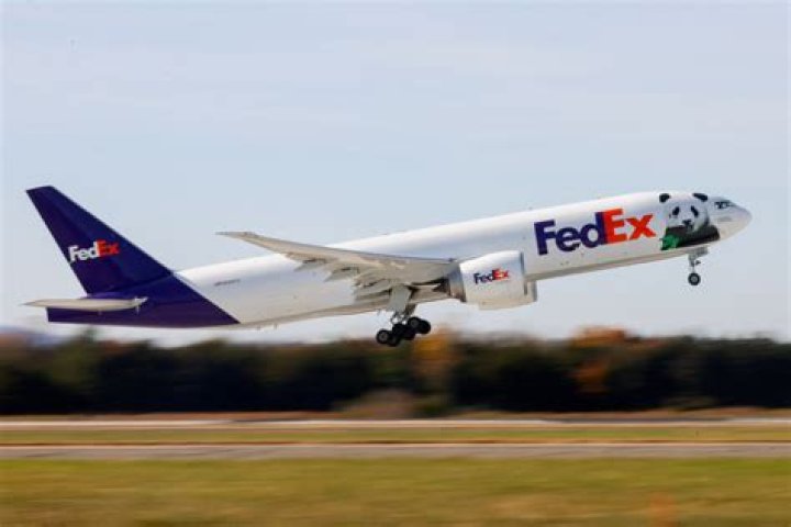 What is FedEx biggest plane?