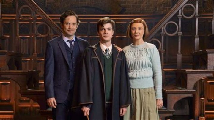 What is Hermione's job in the cursed child?