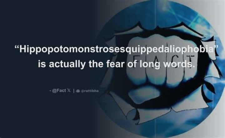 What is Hippopotomonstrosesquippedaliophobia?
