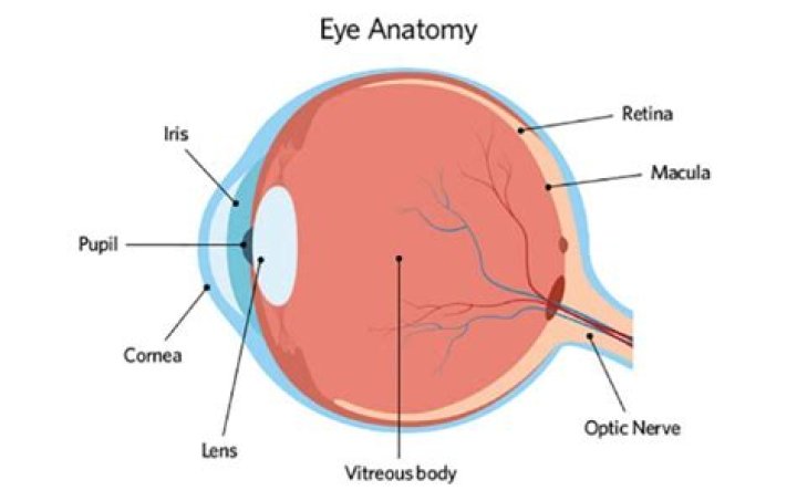 What is Hypotony?