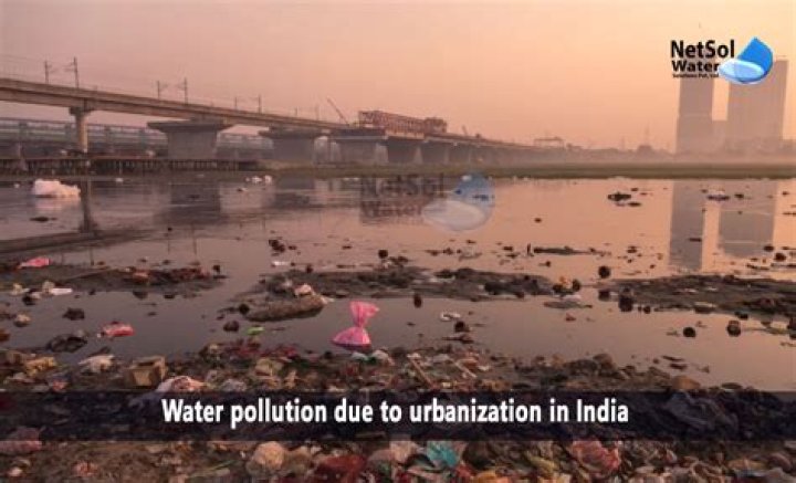 What is India's rank in pollution?