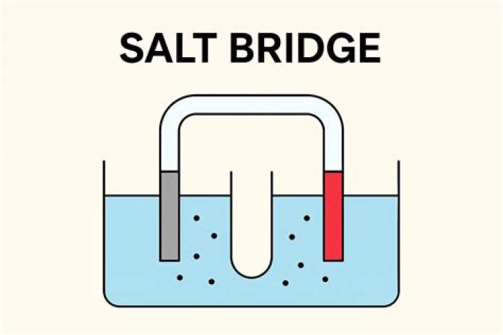 What is inside a salt bridge?